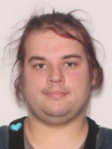 Ashten Kayne Henderson a registered Sexual Offender or Predator of Florida