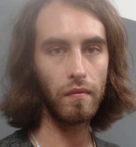 Brandon Lee Jacob Romagnolo a registered Sexual Offender or Predator of Florida