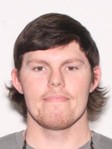 Thomas Aaron Williamson a registered Sexual Offender or Predator of Florida