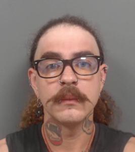 Volker Dietrich Slichter a registered Sexual Offender or Predator of Florida