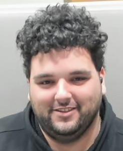 Wallace Eliezer Alvarez Cortes a registered Sexual Offender or Predator of Florida