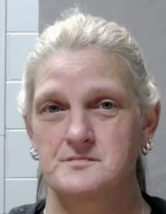 Virginia Ann Turner a registered Sexual Offender or Predator of Florida