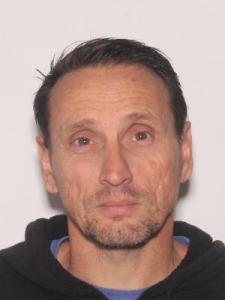 Brian J Mesic a registered Sexual Offender or Predator of Florida