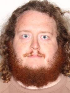 Adam Lee Nelson a registered Sexual Offender or Predator of Florida