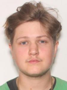 Kyle Andrew Perkins a registered Sexual Offender or Predator of Florida