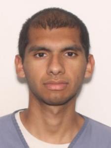 Juan Alberto Pecina a registered Sexual Offender or Predator of Florida