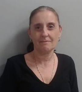 Lisa Ann Mccormack a registered Sexual Offender or Predator of Florida