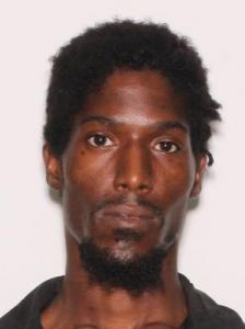 David Isaac Wilson a registered Sexual Offender or Predator of Florida
