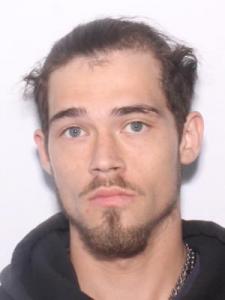 Dakota L Pruitt a registered Sexual Offender or Predator of Florida