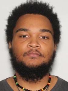 Reginald Lamar Williams Jr a registered Sexual Offender or Predator of Florida
