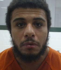 Donnell Vincent Green a registered Sexual Offender or Predator of Florida