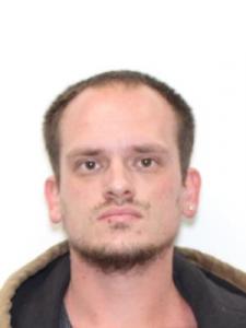 Brent Patrick Mcconville a registered Sexual Offender or Predator of Florida