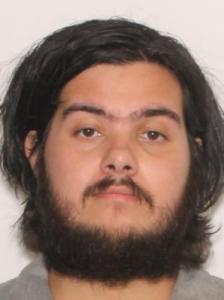 Carlos Allen Menzies a registered Sexual Offender or Predator of Florida