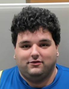 Wallace Eliezer Alvarez Cortes a registered Sexual Offender or Predator of Florida