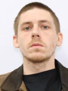 Brandon Raymond Brewer a registered Sexual Offender or Predator of Florida