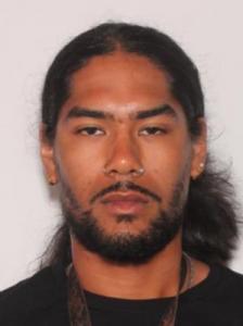 Andrew Logan Melendez a registered Sexual Offender or Predator of Florida