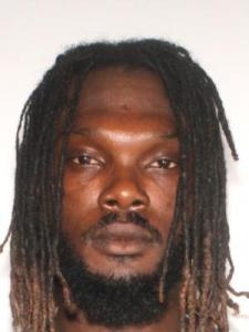 Desmond Douglas Warren Jr a registered Sexual Offender or Predator of Florida