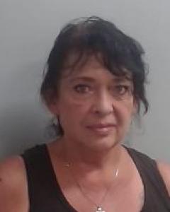 Shelley Diane Hawkins a registered Sexual Offender or Predator of Florida