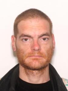 Robert Allen Nelson a registered Sexual Offender or Predator of Florida