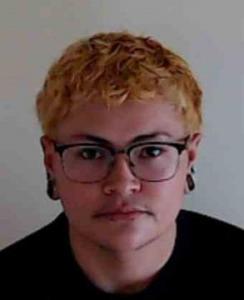 Lionor Robin Pena a registered Sexual Offender or Predator of Florida