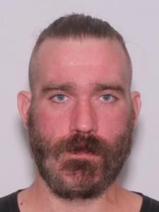 Nicholas Ward Hough a registered Sexual Offender or Predator of Florida