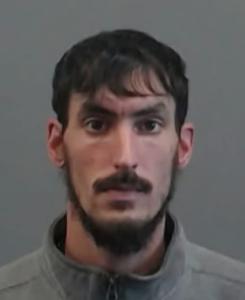 Daniel Ryan Carlson a registered Sexual Offender or Predator of Florida
