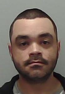 Ryan Anthony Franceschi a registered Sexual Offender or Predator of Florida