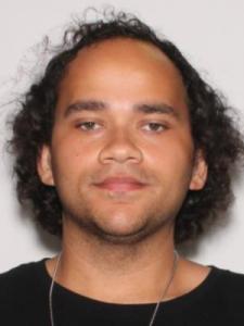 Anthony Michael Holmes a registered Sexual Offender or Predator of Florida