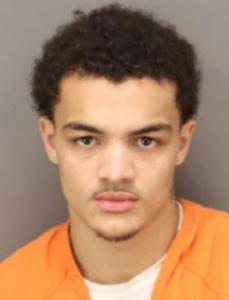 Brendan Adrik Perkins a registered Sexual Offender or Predator of Florida