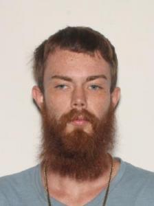 David Matthew Mcginness Jr a registered Sexual Offender or Predator of Florida