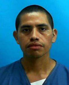 Adrian Isaias Feliciano Temaj a registered Sexual Offender or Predator of Florida