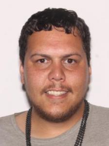 Davien James Torres a registered Sexual Offender or Predator of Florida