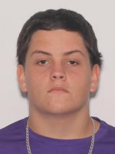 Hunter Wayne Patrick a registered Sexual Offender or Predator of Florida