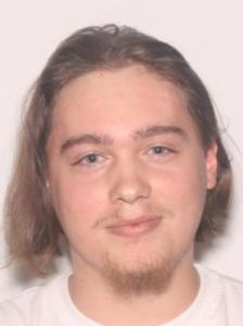 Hunter Beauchemin a registered Sexual Offender or Predator of Florida