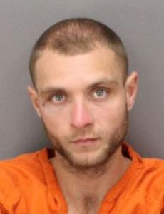 Christopher Lee Swails a registered Sexual Offender or Predator of Florida