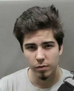 Anthony Dominic Angel Bucci a registered Sexual Offender or Predator of Florida