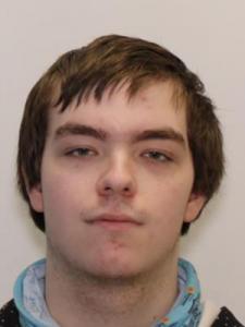 Austin Jay Malarkey a registered Sexual Offender or Predator of Florida