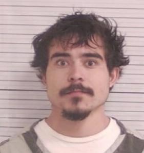 Robert Nick Flores a registered Sexual Offender or Predator of Florida
