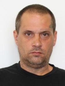Timothy Michael Miner a registered Sexual Offender or Predator of Florida