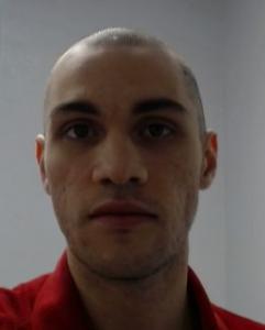 Nathaniel Jon Divincenzo a registered Sexual Offender or Predator of Florida