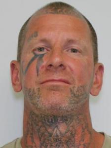 Chester Robert Dzikowski a registered Sexual Offender or Predator of Florida