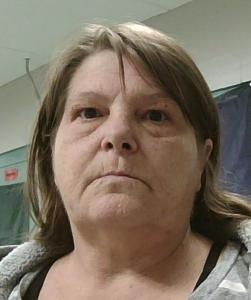 Dawn Ilene Skeen a registered Sexual Offender or Predator of Florida