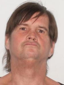 David A Steidl a registered Sexual Offender or Predator of Florida
