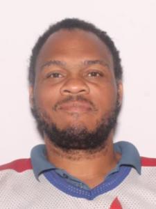 Rommie Lee Brinson Jr a registered Sexual Offender or Predator of Florida