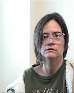 Sally Denise Ortiz a registered Sexual Offender or Predator of Florida