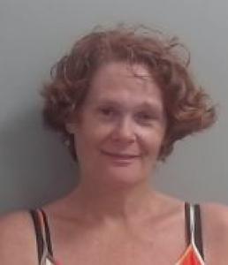 Lisa A Willhoite a registered Sexual Offender or Predator of Florida