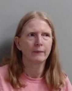Diane G Bellin a registered Sexual Offender or Predator of Florida