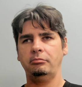 Dan Ionescu a registered Sexual Offender or Predator of Florida