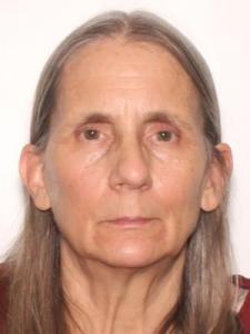 Darlene Marie Vincenzo a registered Sexual Offender or Predator of Florida