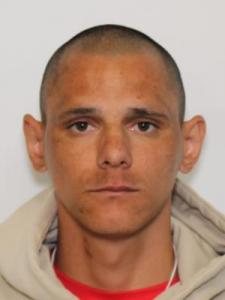 Daniel Thomas Eckstein a registered Sexual Offender or Predator of Florida